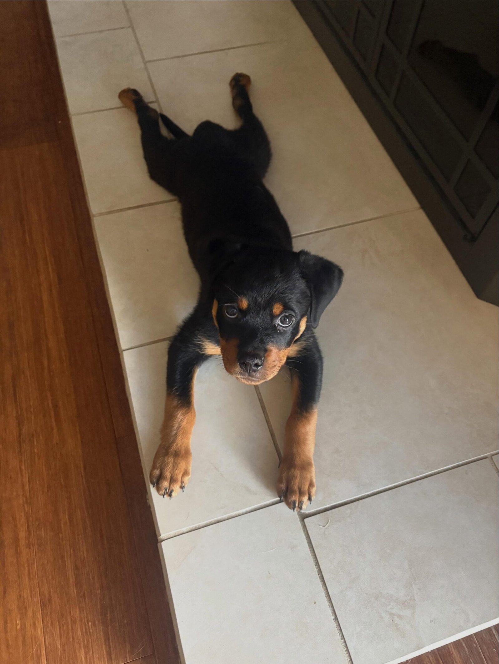 Cooper