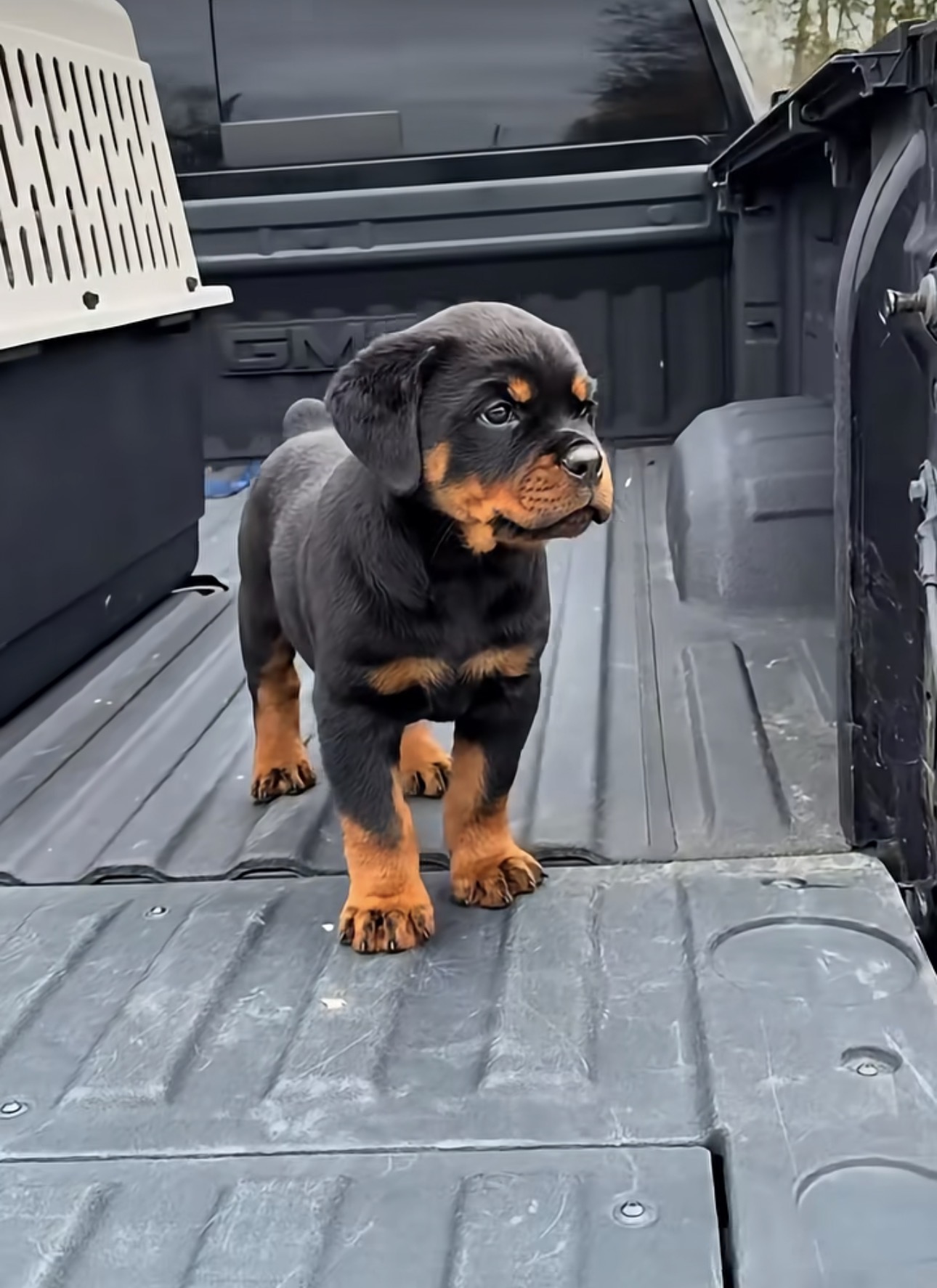 Rocky