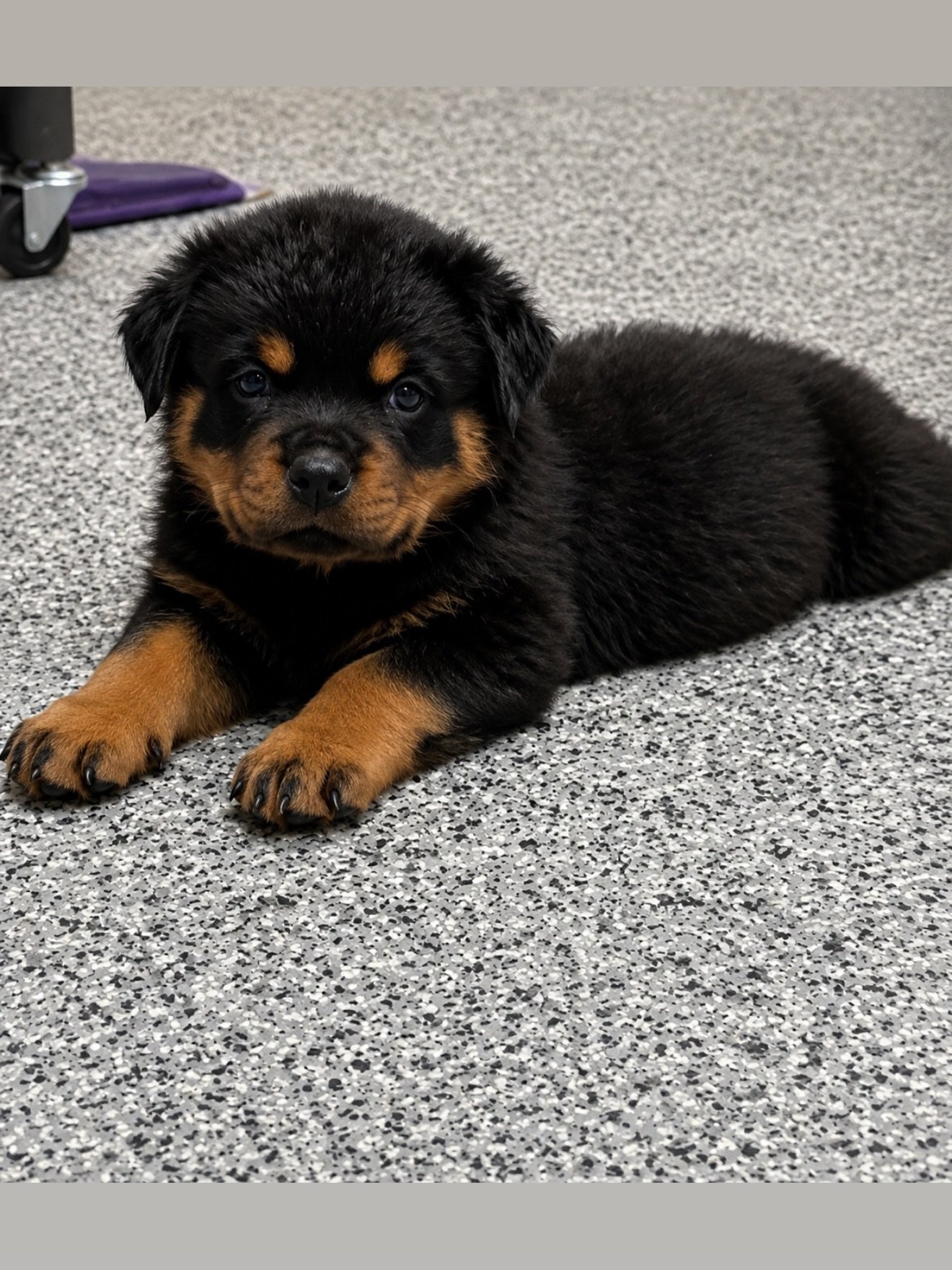 Maverick